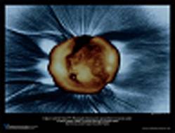 Еженедельный обзор шанхайских галерей и выставок, выпуск IV