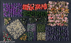 Выставка «Blackboard» скорее художественный эксперимент Выставка «Blackboard» скорее художественный эксперимент